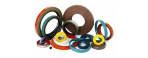 Oil Seal